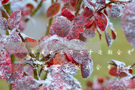欠浦发三万七千逾期会有什么后果-欠浦发三万七千逾期会有什么后果吗