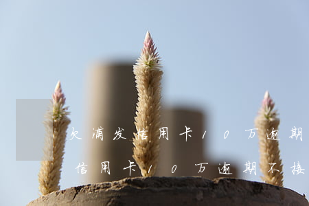 欠浦发信用卡10万逾期不接电话-欠浦发信用卡10万逾期不接电话怎么办