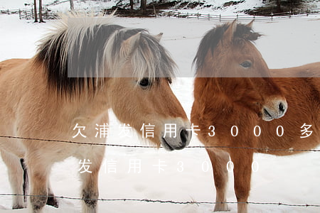 欠浦发信用卡3000多,会上门催收吗（欠浦发信用卡3000）