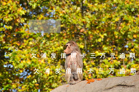 欠浦发信用卡三万元逾期几个月会被起诉呢，欠浦发信用卡三万，逾期几个月可能被起诉！