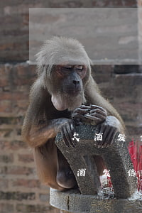 欠浦发信用卡三万元逾期几个月会被起诉呢（浦发信用卡逾期8个月没还怎么办）