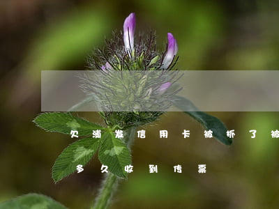 欠浦发信用卡 被抓了(被浦发银行信用卡起诉多久收到传票)