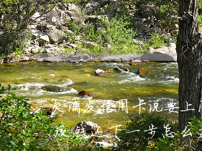 欠浦发信用卡说要上门 浦发银行上门催收了没钱还下一步怎么办