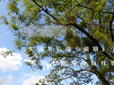 欠浦发信用卡逾期3个月了说要起诉我（浦发信用卡逾期协商找银监局）