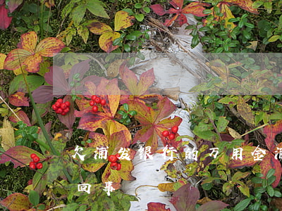 欠浦发银行的万用金(浦发银行万用金是怎么回事)