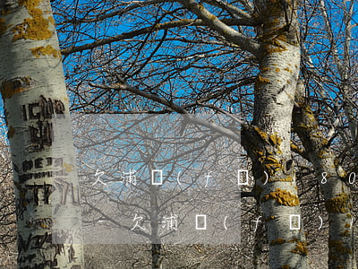 欠浦發(fā)1800的信用卡會怎么樣-欠浦發(fā)1800的信用卡會怎么樣嗎