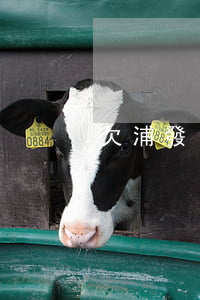 欠浦發(fā)信用卡15萬