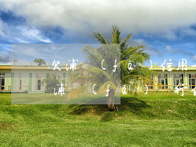 欠浦發(fā)信用卡16萬逾期三個月(欠浦發(fā)銀行信用卡4萬多真的會被訴訟嗎)