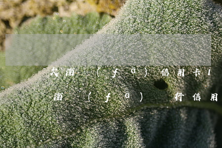 欠浦發(fā)信用卡1萬(wàn)元(欠浦發(fā)銀行信用卡一萬(wàn)二本金起訴會(huì)坐牢嗎?)