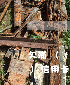 欠浦發(fā)信用卡2年了(欠浦發(fā)信用卡2年了怎么還款)