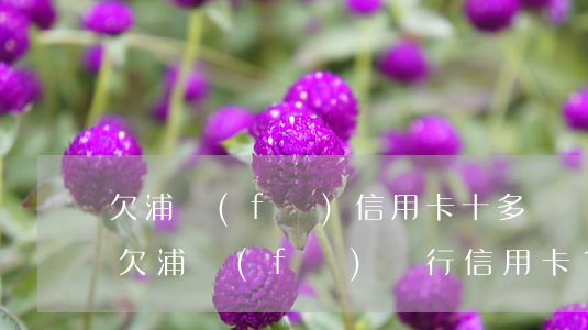 欠浦發(fā)信用卡十多萬沒還怎么辦-欠浦發(fā)銀行信用卡10萬還不起能不能協(xié)商