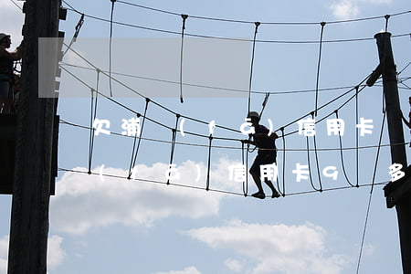 欠浦發(fā)信用卡沒錢還了-我欠浦發(fā)信用卡9萬多 還不上 已經(jīng)逾期2個(gè)月了怎么辦