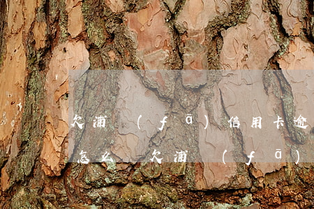 欠浦發(fā)信用卡逾期了會(huì)怎么樣（欠浦發(fā)信用卡逾期）