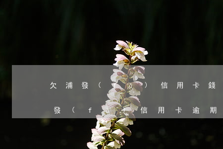 欠浦發(fā)信用卡錢沒(méi)還(浦發(fā)信用卡 逾期)