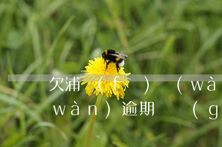 欠浦發(fā)萬(wàn)用金22萬(wàn)逾期兩個(gè)月(欠浦發(fā)銀行萬(wàn)用金20萬(wàn)不還,他們也找不到我)