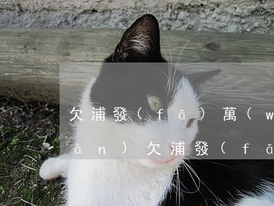 欠浦發(fā)萬(wàn)用金3萬(wàn)(欠浦發(fā)萬(wàn)用金3萬(wàn))