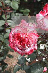欠浦發(fā)萬(wàn)用金十二萬(wàn)沒(méi)錢還怎么辦-欠浦發(fā)萬(wàn)用金十二萬(wàn)沒(méi)錢還怎么辦呢