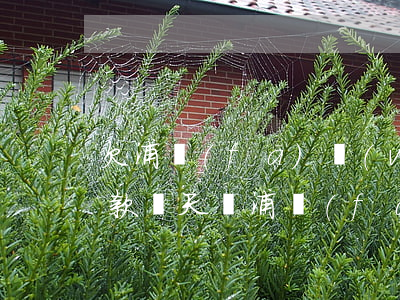 欠浦發(fā)萬(wàn)用金可以晚還款幾天嗎(浦發(fā)萬(wàn)用金能提前還清嗎)