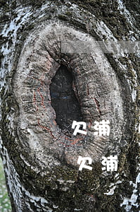 欠浦發(fā)萬(wàn)用金坐牢案例(欠浦發(fā)萬(wàn)用金坐牢案例)