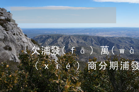 欠浦發(fā)萬(wàn)用金與銀行協(xié)商分期(浦發(fā)萬(wàn)用金逾期了怎樣能跟銀行協(xié)商分期)