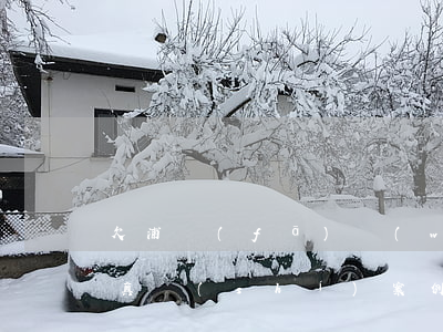 欠浦發(fā)萬(wàn)用金還不上的真實(shí)案例(欠浦發(fā)萬(wàn)用金還不上的真實(shí)案例)