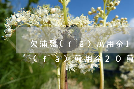 欠浦發(fā)萬用金15萬判幾年(欠浦發(fā)萬用金20萬實在還不上,會不會坐牢)