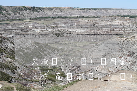 欠浦發(fā)萬用金15萬可以協(xié)商嗎(浦發(fā)萬用金協(xié)商只還本金)