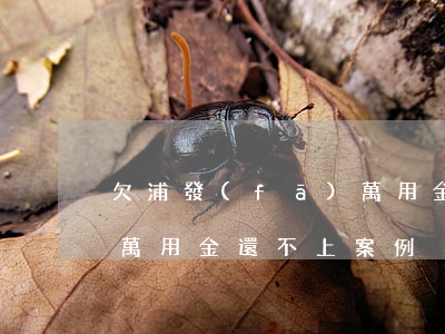 欠浦發(fā)萬用金18萬(浦發(fā)萬用金還不上案例)