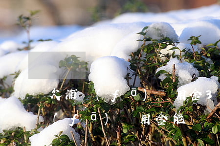 欠浦發(fā)萬用金3萬去自首(起訴浦發(fā)萬用金能勝訴嗎)