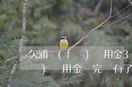 欠浦發(fā)萬用金3萬還不起(浦發(fā)萬用金還完沒有了)