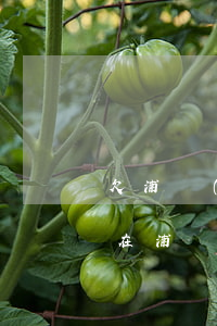 欠浦發(fā)萬用金七萬(現(xiàn)在浦發(fā)萬用金最新情況)