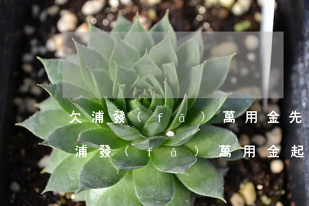 欠浦發(fā)萬用金先起訴還是先抓人-浦發(fā)萬用金起訴不去怎么辦