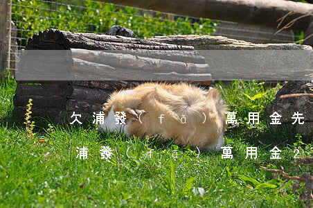 欠浦發(fā)萬用金先起訴還是先抓人(欠浦發(fā)萬用金20萬實在還不上,會不會坐牢)