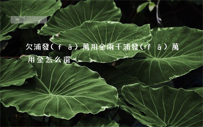 欠浦發(fā)萬用金兩千(浦發(fā)萬用金怎么還)