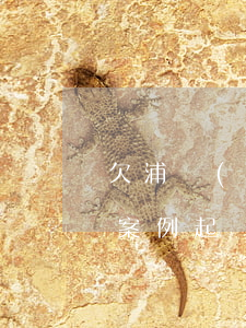 欠浦發(fā)萬用金協(xié)商成功案例(起訴浦發(fā)萬用金能勝訴嗎)