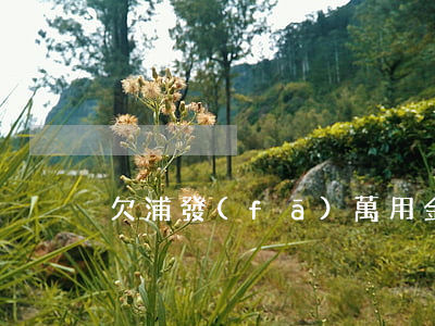 欠浦發(fā)萬用金坐牢