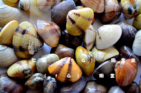 欠浦發(fā)萬用金坐牢貼吧(可以起訴浦發(fā)萬用金嗎)