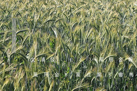 欠浦發(fā)萬用金報案(欠浦發(fā)萬用金8萬立案了會馬上來抓人嗎)