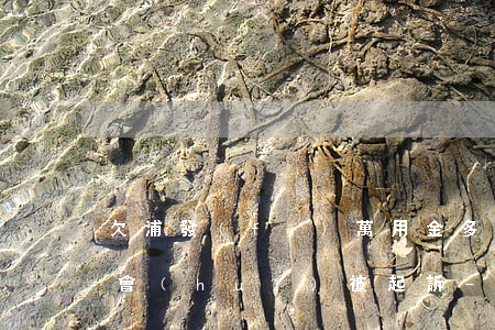 欠浦發(fā)萬用金多長時(shí)間會(huì)被起訴-欠浦發(fā)萬用金多長時(shí)間會(huì)被起訴呢