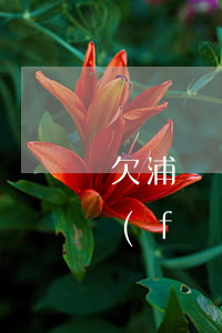 欠浦發(fā)萬用金我想協商還款(欠浦發(fā)萬用金我想協商還款)