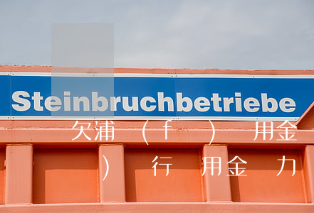 欠浦發(fā)萬用金無力償還(欠浦發(fā)銀行萬用金無力償還,銀行會(huì)在那個(gè)城市立案起訴)