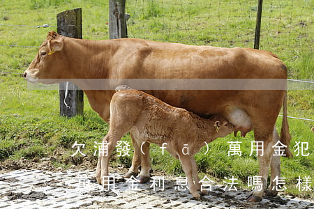 欠浦發(fā)萬用金犯法嗎(浦發(fā)萬用金利息合法嗎怎樣起訴)