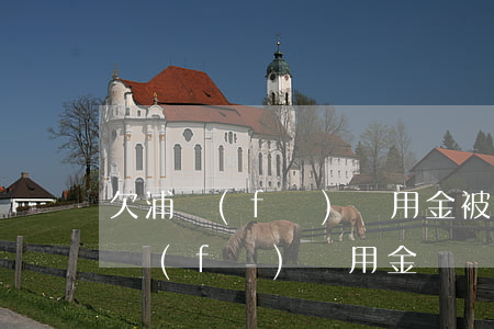 欠浦發(fā)萬用金被起訴了(可以起訴浦發(fā)萬用金嗎)