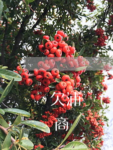 欠浦發(fā)萬用金跟銀行協(xié)商