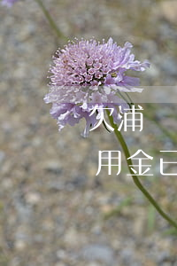 欠浦發(fā)萬用金逾期(浦發(fā)萬用金已經(jīng)開庭判決了)