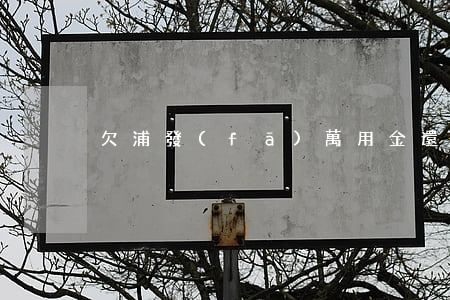欠浦發(fā)萬用金還不上的真實案例-