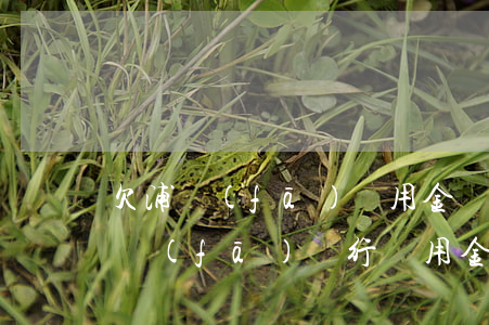 欠浦發(fā)萬用金還不起會坐牢嗎(欠浦發(fā)銀行萬用金20萬不還,他們也找不到我)