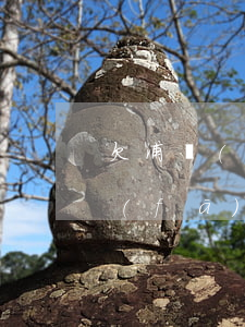 欠浦發(fā)逾期重復(fù)還款(浦發(fā)銀行逾期還款后還可以繼續(xù)使用嗎)
