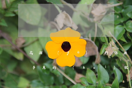 欠浦發(fā)銀行信用卡4萬(wàn)多真的會(huì)被訴訟嗎（浦發(fā)信用卡逾期會(huì)被起訴拘留嗎）