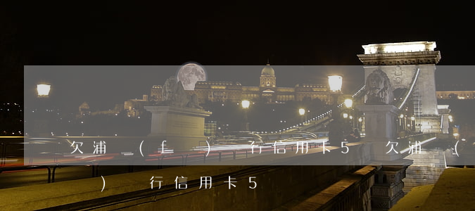 欠浦發(fā)銀行信用卡5萬(欠浦發(fā)銀行信用卡5萬)
